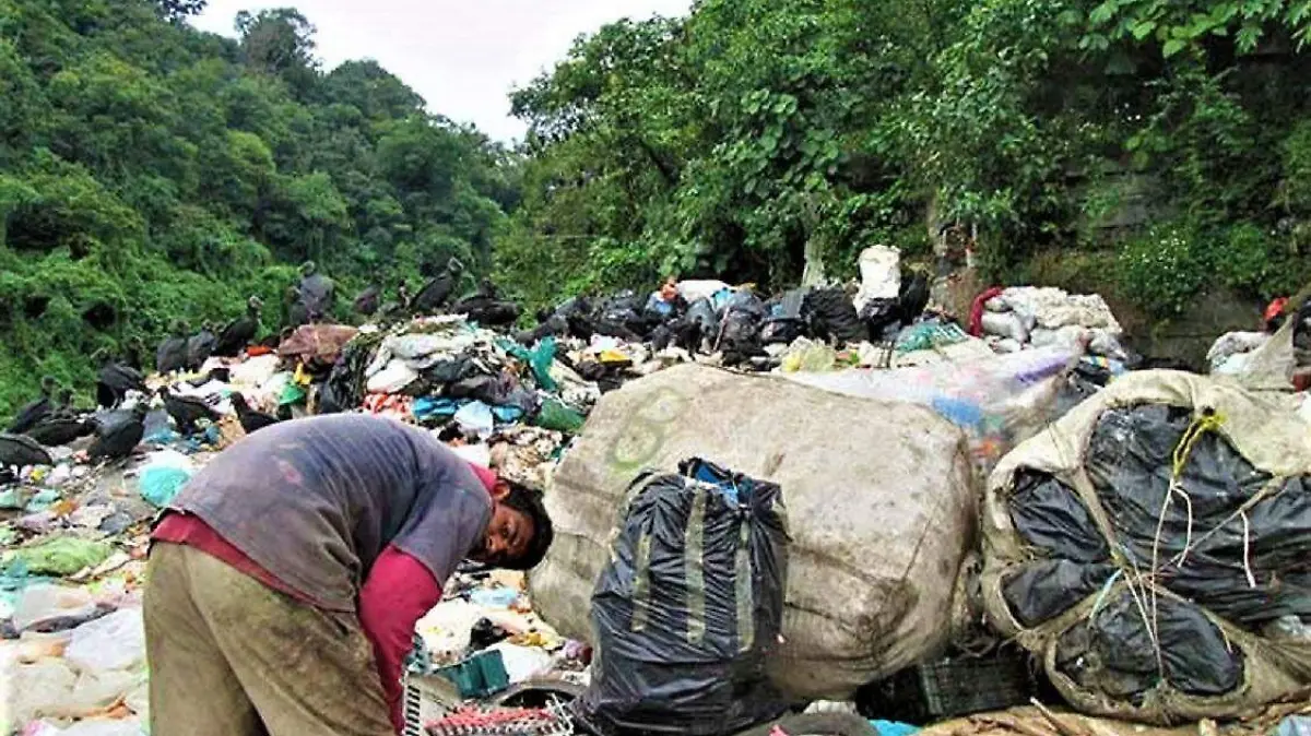 BASURERO XICOTEPEC leticia animas